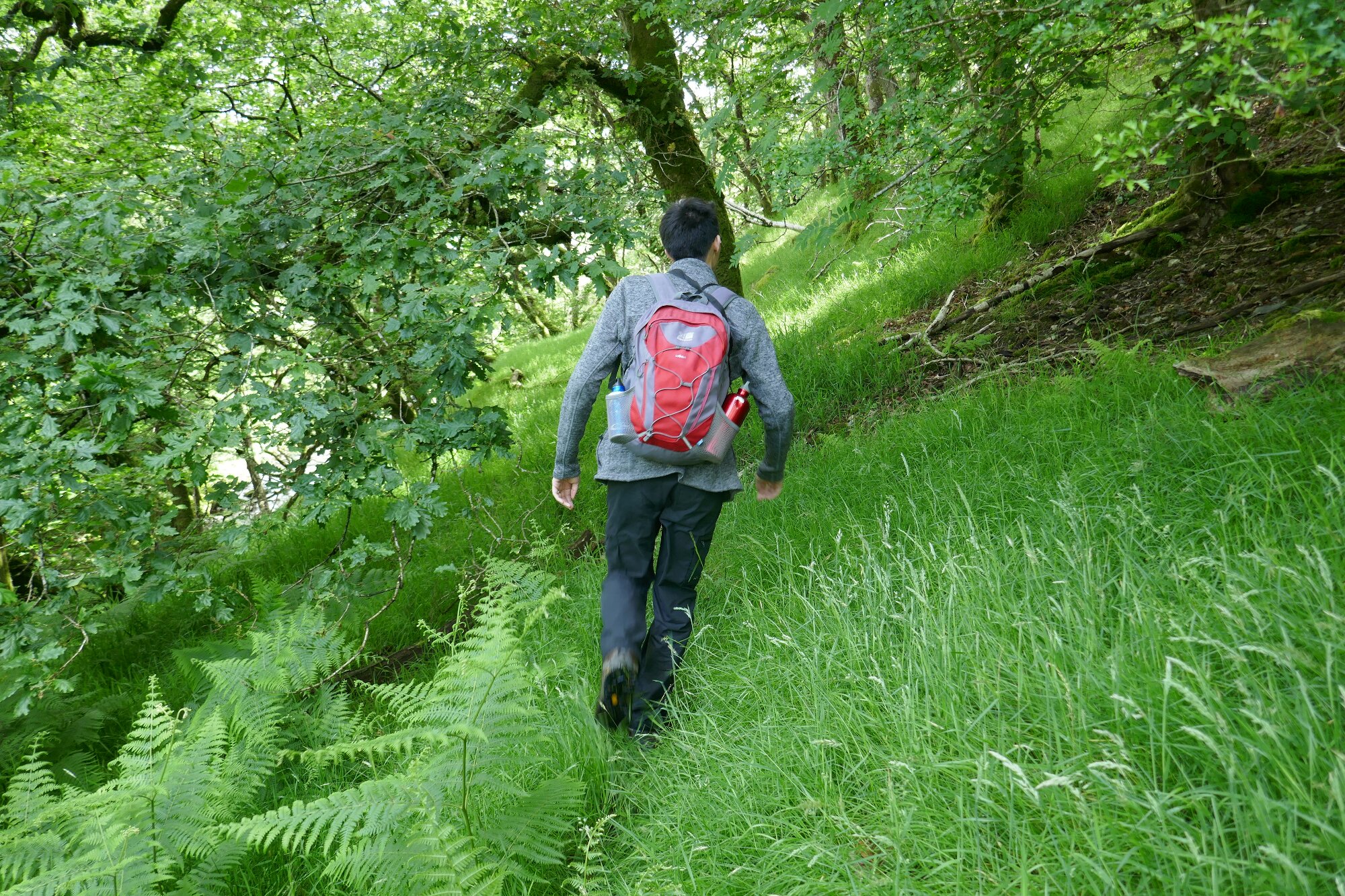 RachelSeabrook.net | Wild Walking | Cwmystwyth | pic09